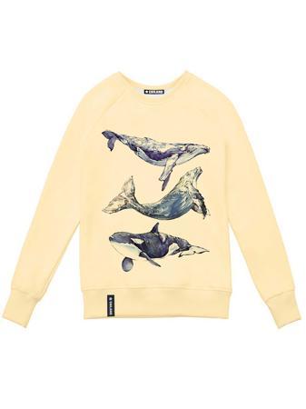 Свитшот Eniland