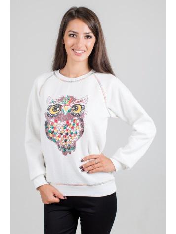 Свитшот  -  цвет