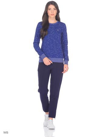 Свитшот Lacoste