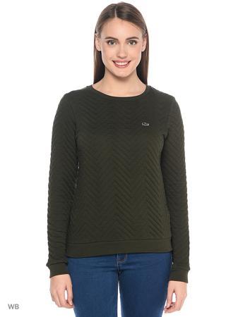 Толстовка Lacoste