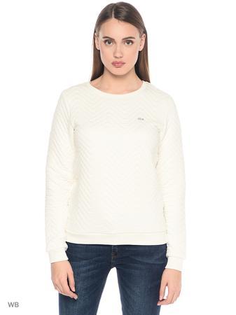 Толстовка Lacoste