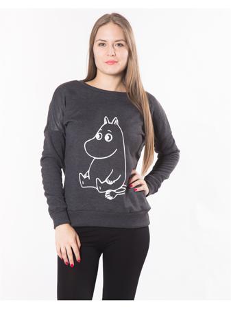 Свитшот Jenks