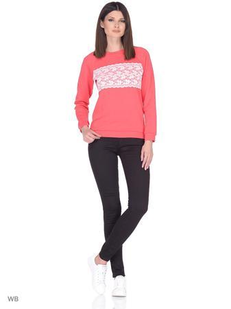 Свитшот Shelter