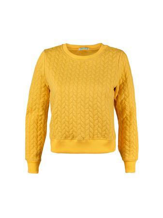 Свитшот Sabellino