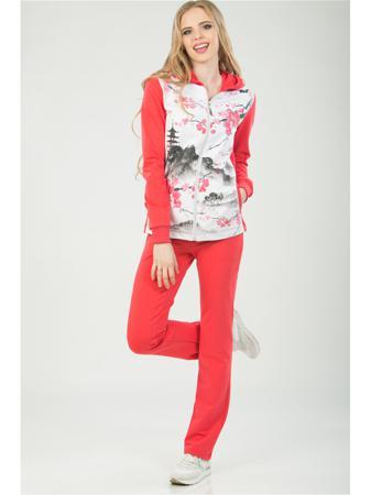 Толстовка А Б Коллекция