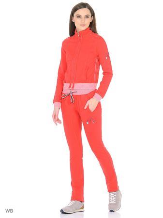 Толстовка FORZA VIVA