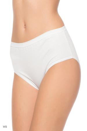 Трусы  -  цвет