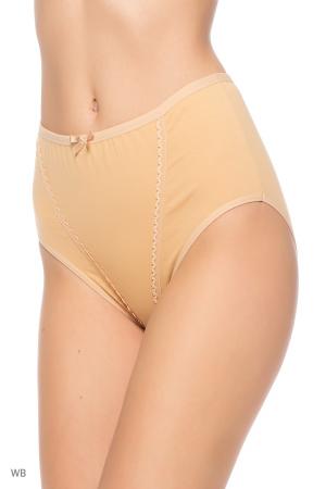 Трусы  -  цвет