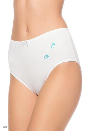 Трусы  -  цвет