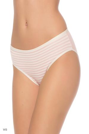 Трусы  -  цвет