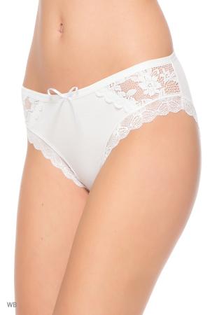 Трусы  -  цвет