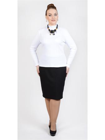 Водолазка Avigal