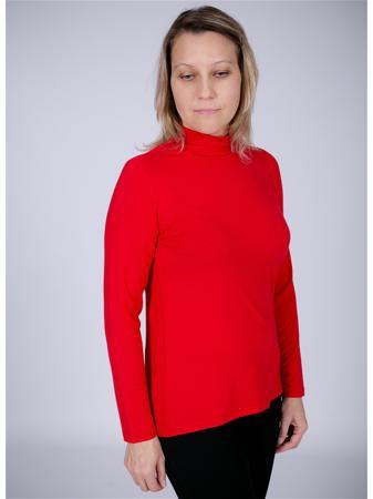 Водолазка Conrad C