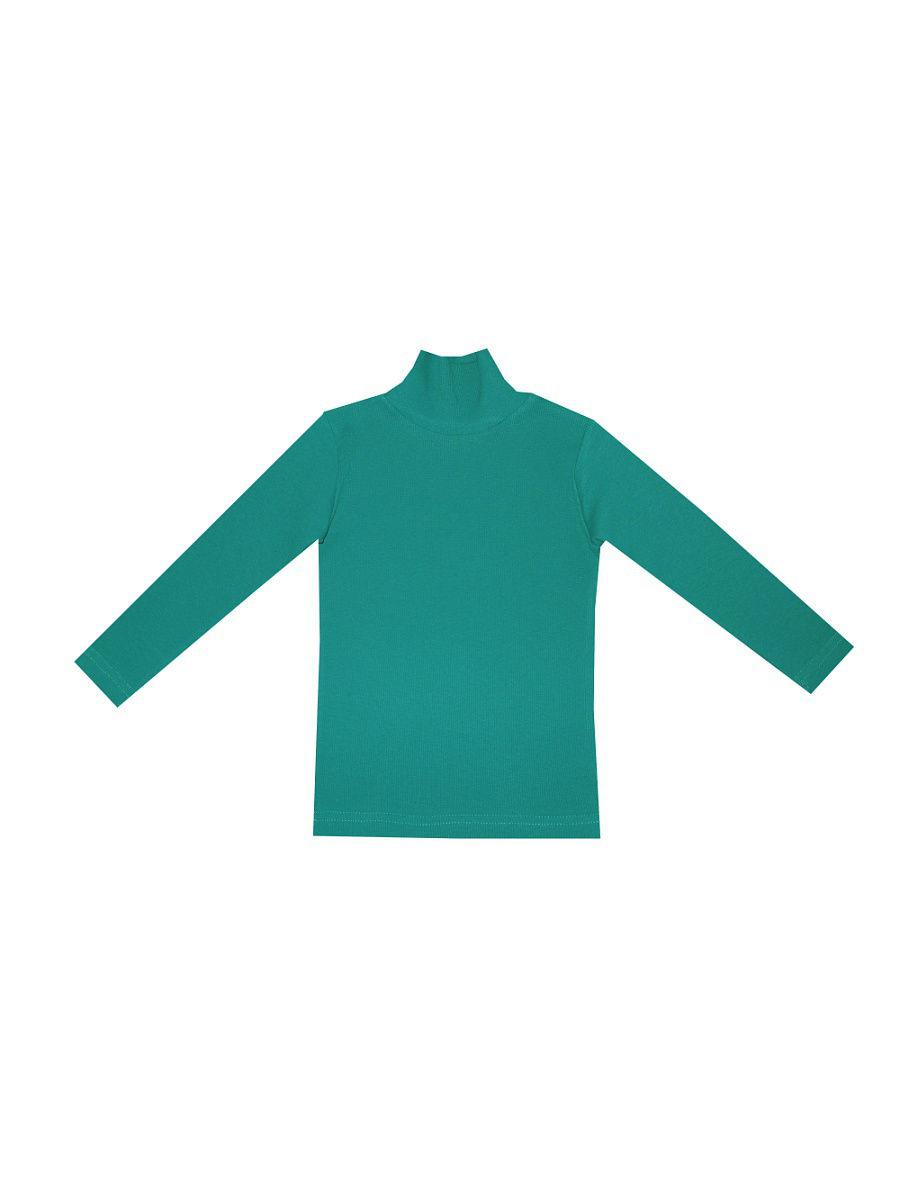 Водолазки, лонгсливы  -  цвет