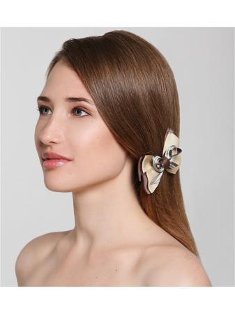 Заколка Darinelly