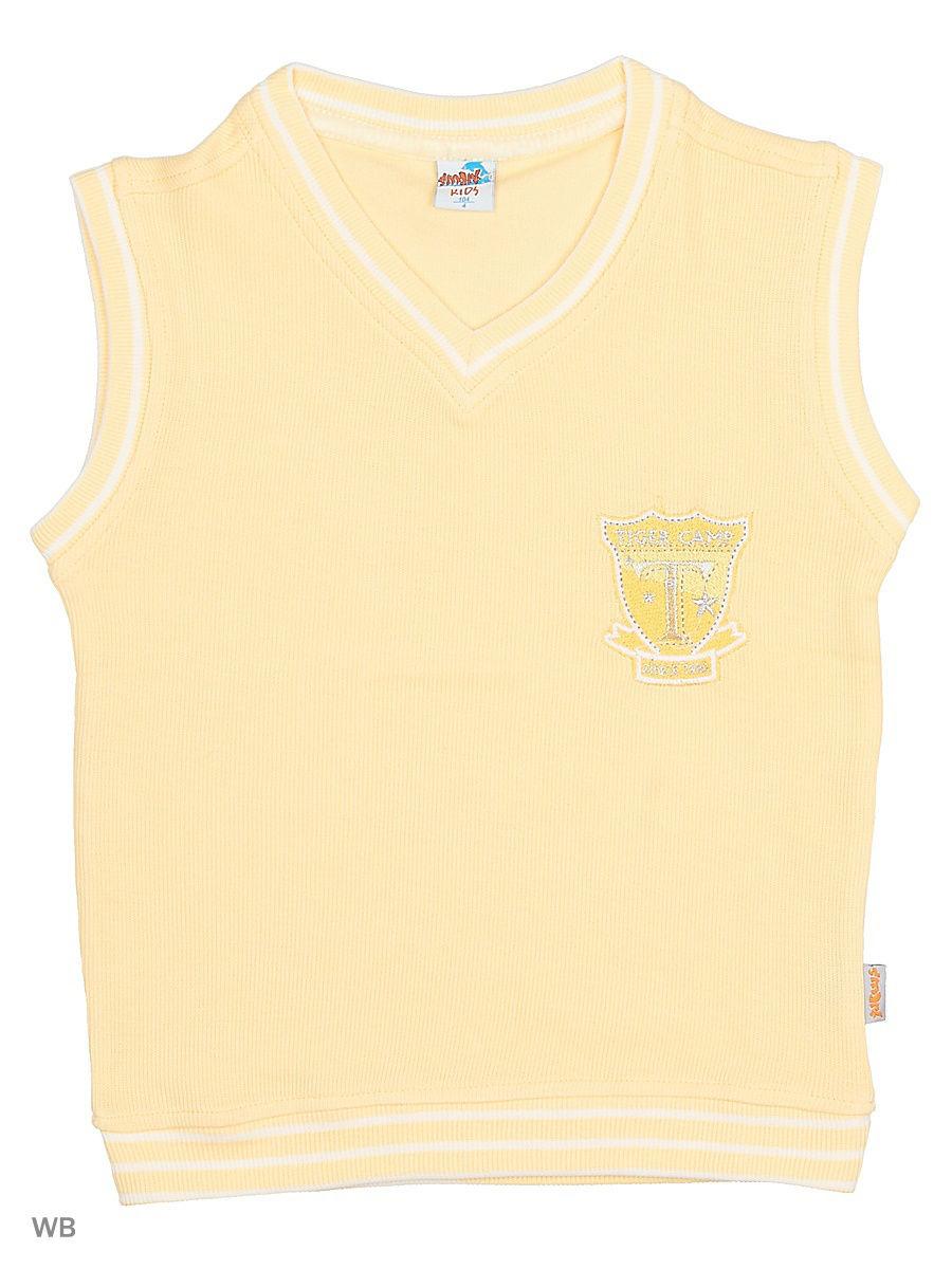 Жилет  -  цвет