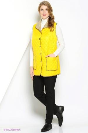 Жилет  -  цвет