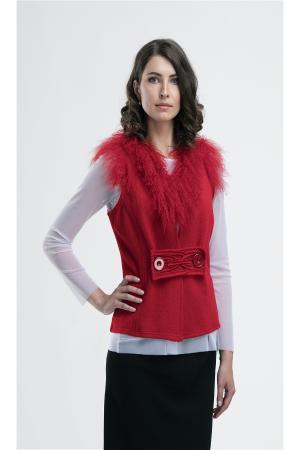 Жилет  -  цвет