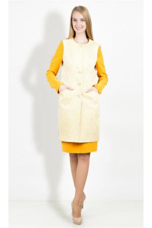 Жилет  -  цвет