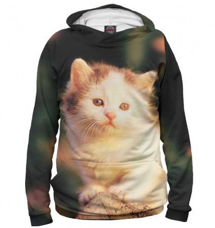 Брюки Print Bar