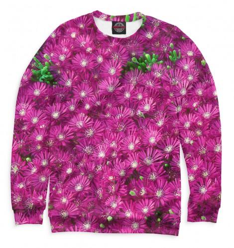 Свитшот Print Bar