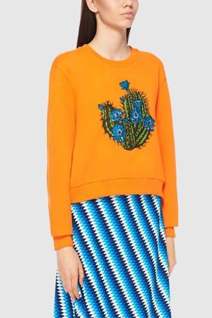 Свитшот House of Holland