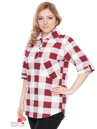 Блуза Алтекс