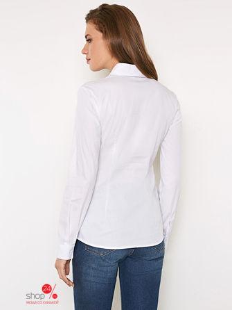 Блуза CONCEPT CLUB