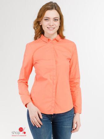 Блуза Calvin Klein