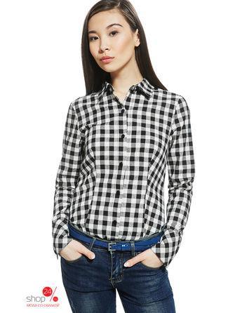 Боди Nothing but love