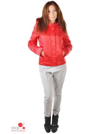 Куртка VSdress