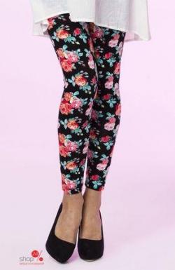 Леггинсы Halens