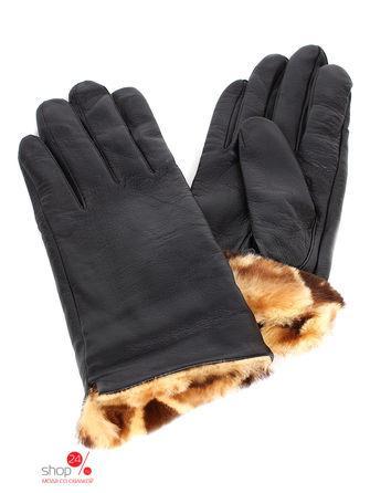 Перчатки Högl