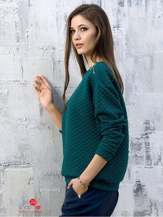 Толстовка Pelican