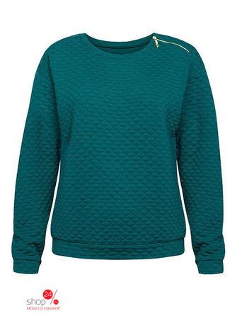 Толстовка Pelican