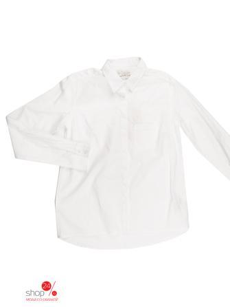Рубашка Little Marcel