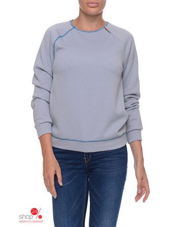 Толстовка Aimo Richly