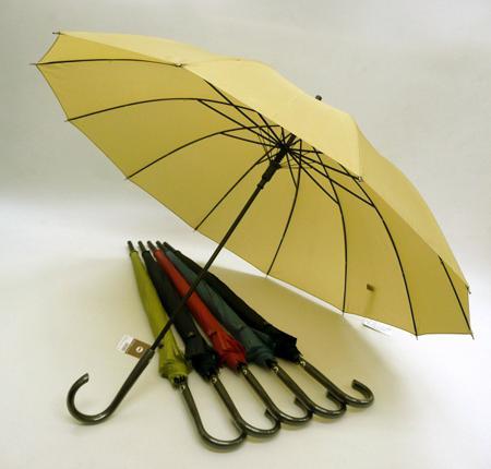 Зонт Flowers and an umbrella