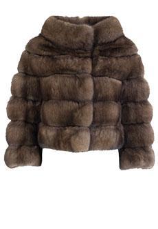 Куртка VINICIO PAJARO