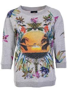 Свитшот CLASS CAVALLI