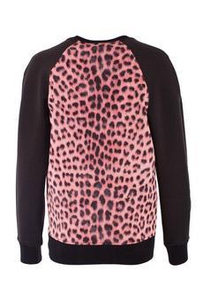 Толстовка JUST CAVALLI