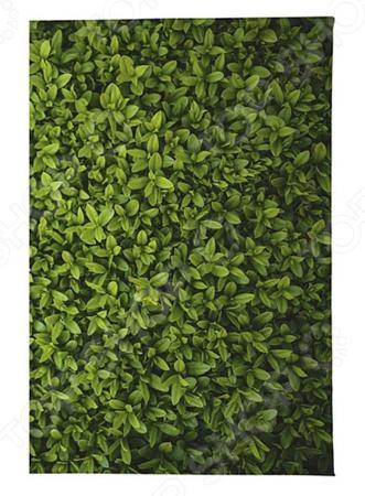 Обложка для документов Mitya Veselkov