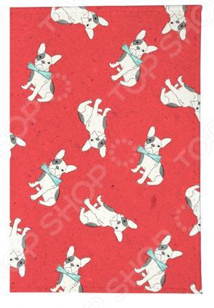 Обложка для документов Mitya Veselkov