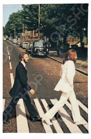 Обложка для документов Mitya Veselkov