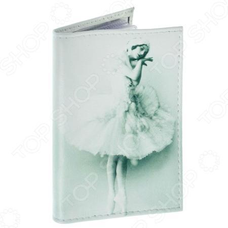 Обложка для документов Mitya Veselkov