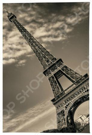 Обложка для документов Mitya Veselkov