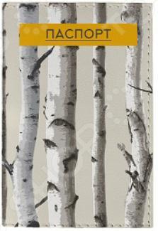 Обложка для документов Mitya Veselkov