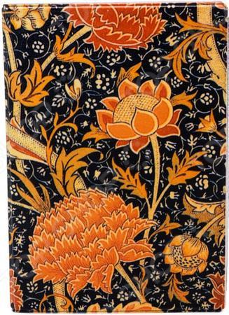 Обложка для документов Mitya Veselkov