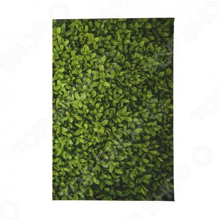 Обложка для документов Mitya Veselkov