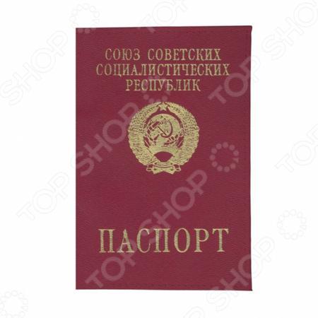 Обложка для документов Mitya Veselkov